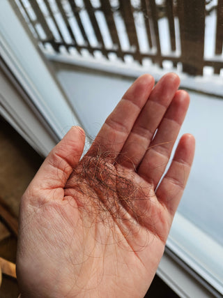 Chute de cheveux : ce qui est normal… et les vraies pistes pour t’aider