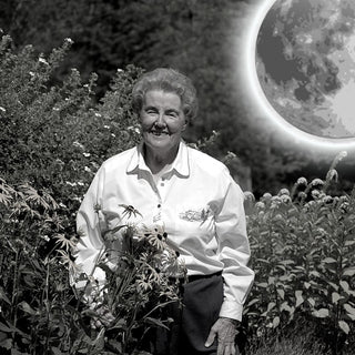 Découvrez l'influence supposée de la lune sur la pousse des cheveux et ses cycles, entre mythe ancestral et réalité scientifique.