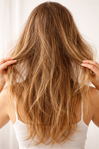 Cheveux Secs
