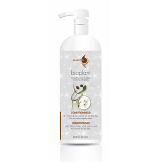 Conditionneur à l'huile d'Abyssinie et de Jojoba