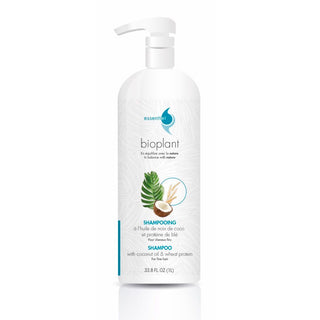 Shampoing huile de coco et protéines de blé