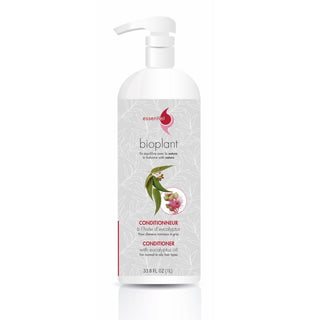 Conditionneur à l'huile d'eucalyptus
