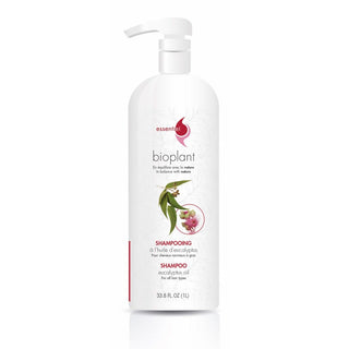 Shampoing à l'huile d'eucalyptus